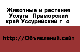 Животные и растения Услуги. Приморский край,Уссурийский г. о. 